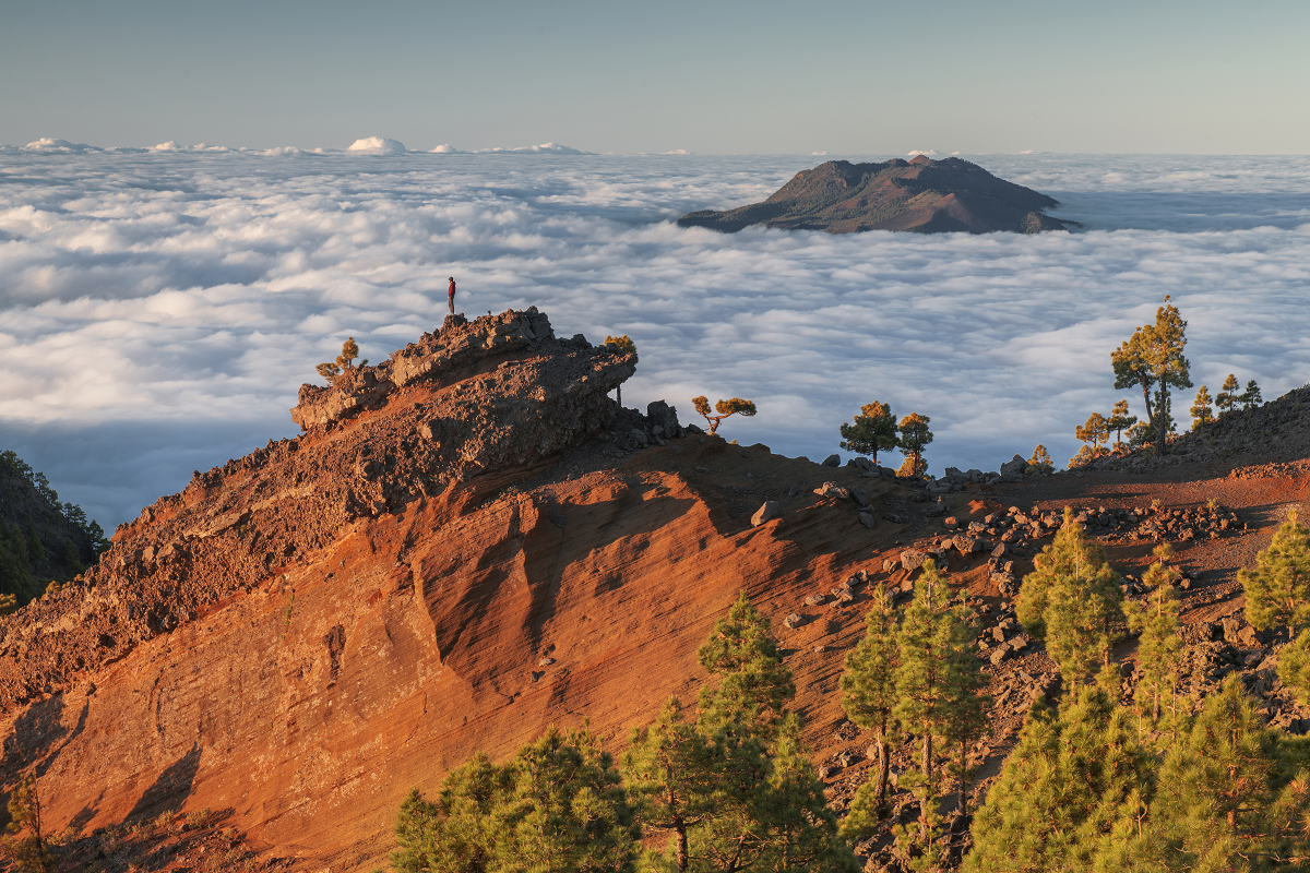 la palma