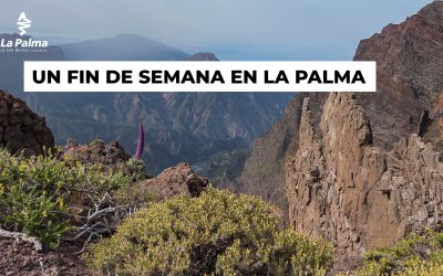 Un fin de semana en La Palma