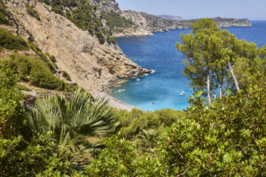 Visita Mallorca esta primavera 